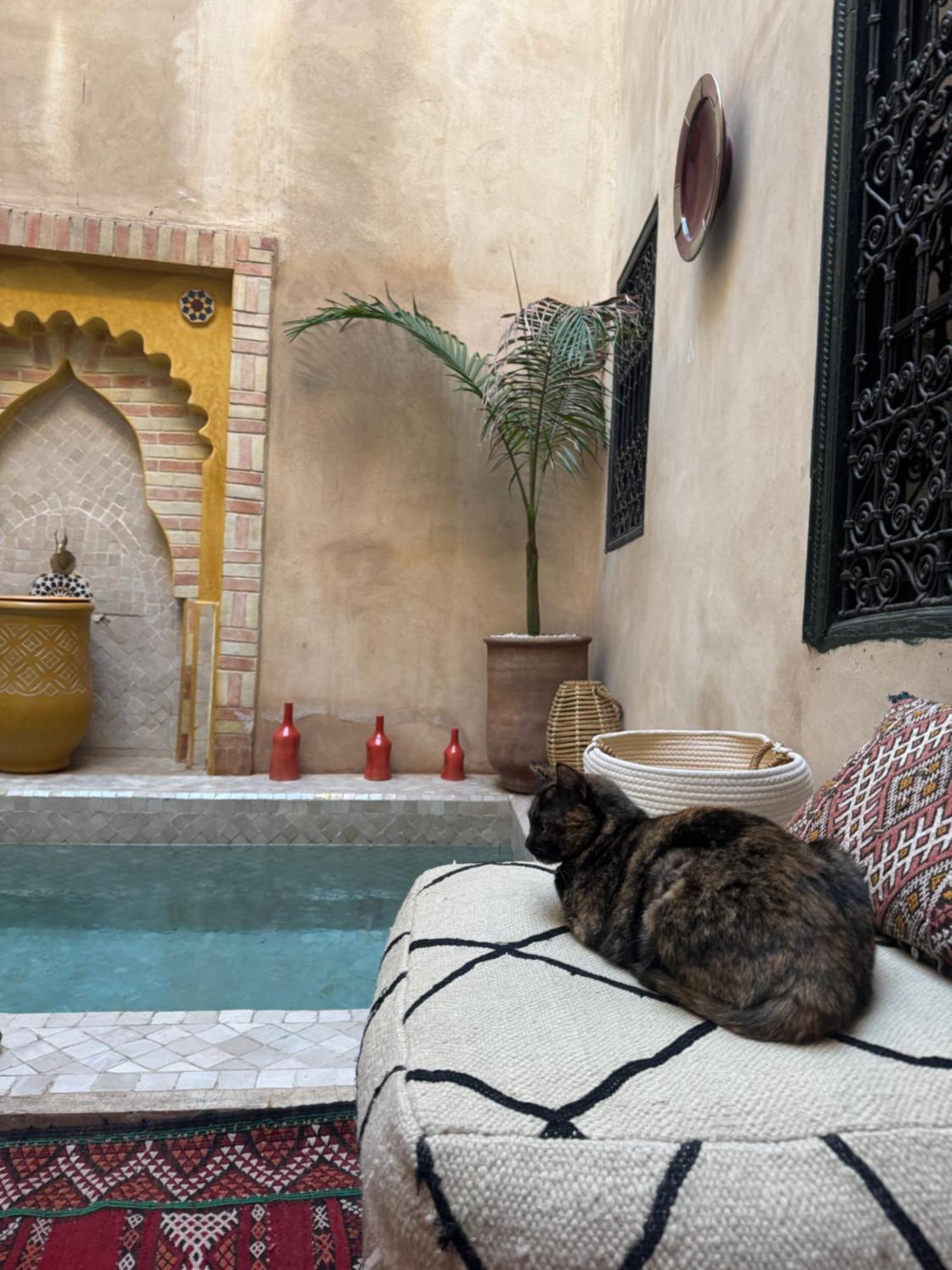 Riad Paquerette Marrakesh Bagian luar foto